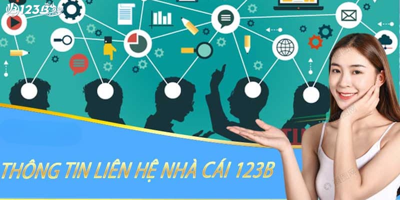 Liên hệ 123b như thế nào?